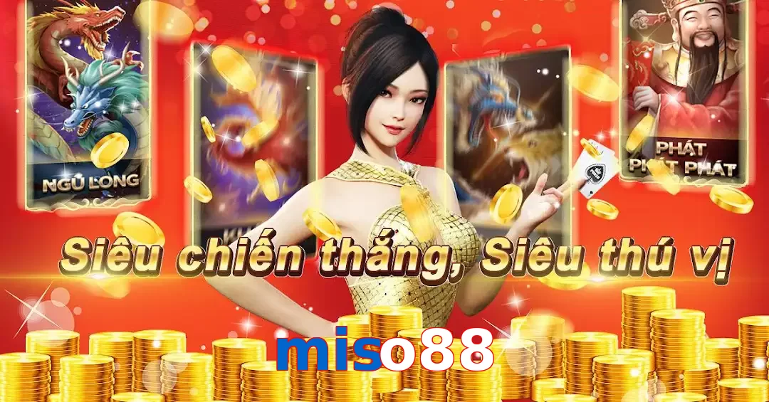 miso88